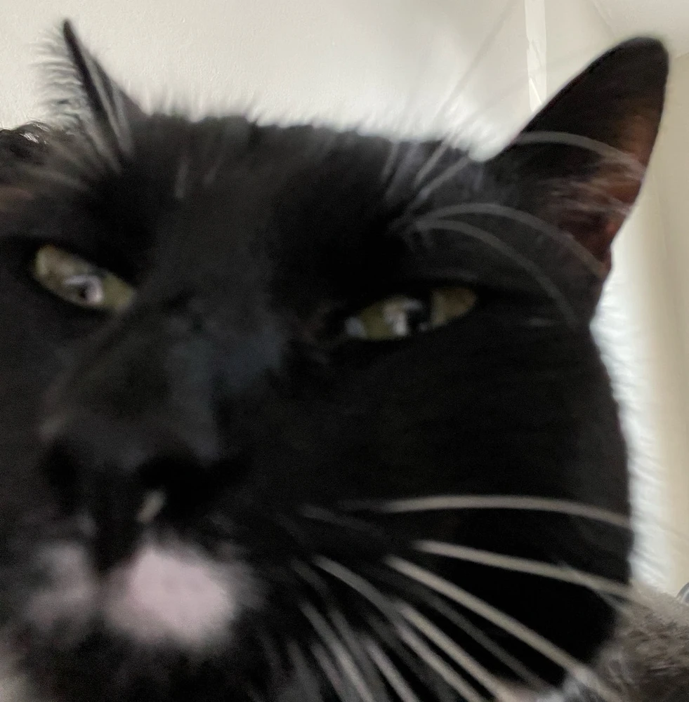 GIF uploaded by Fernando