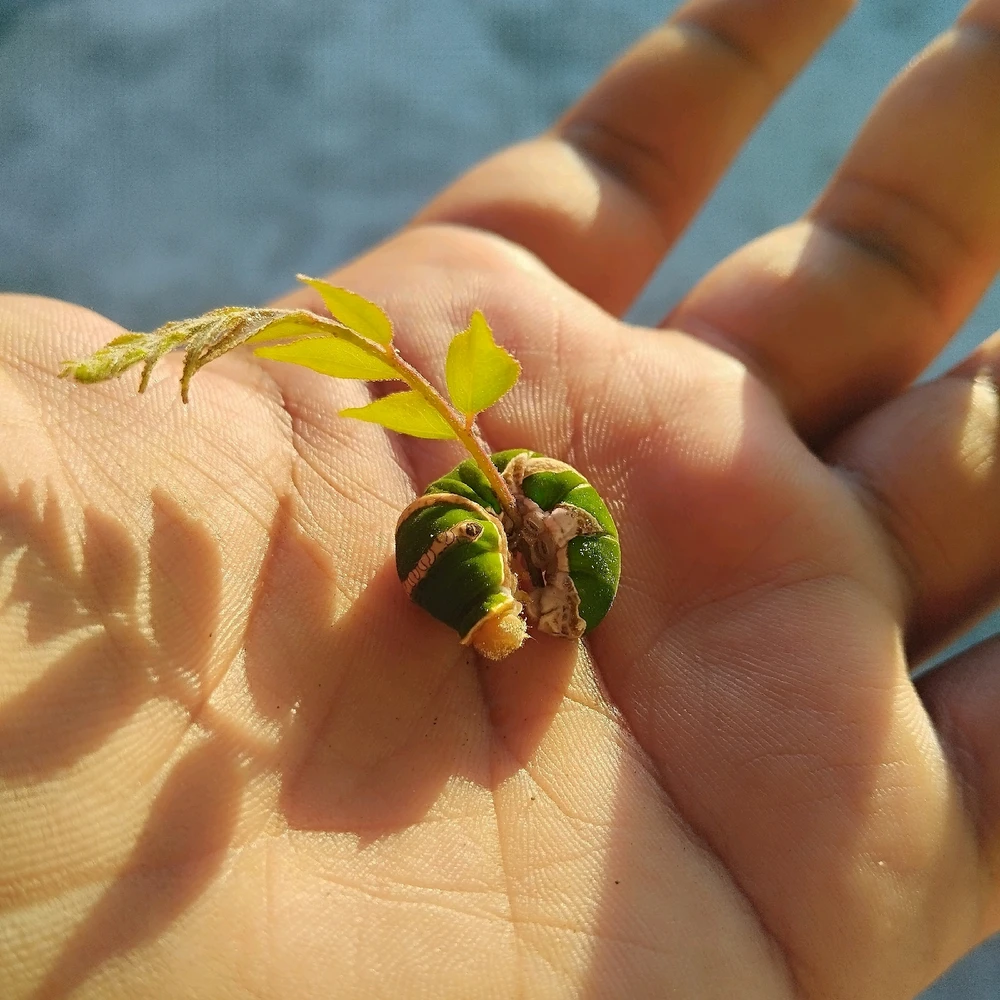 Gambar diunggah dening Punit