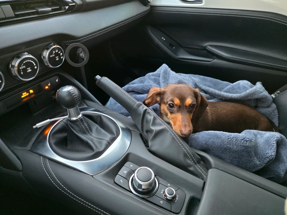 GIF diunggah dening John