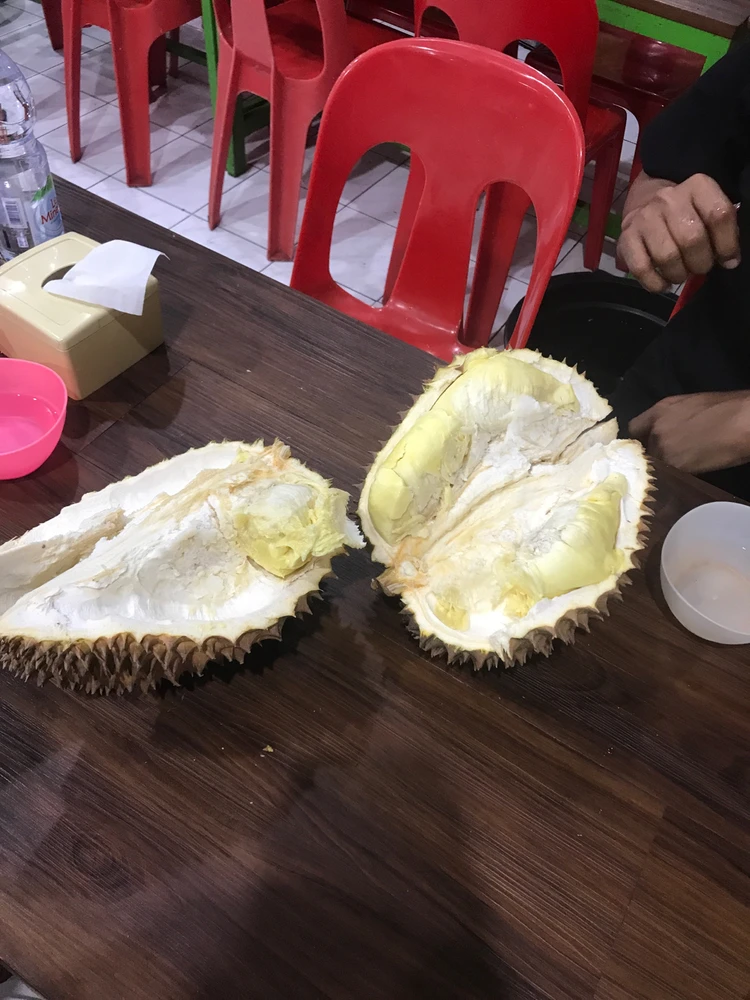 GIF uploaded by Andi apriliyani