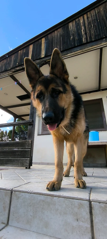 GIF ανέβηκε από Kostas