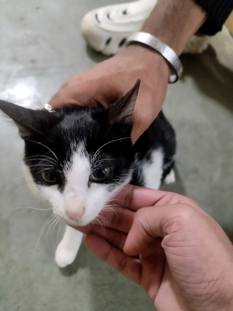 GIF uploaded by Agrim Gupta