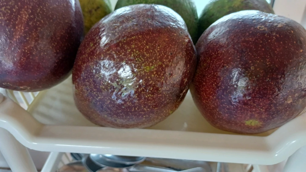 Image uploaded by Shar