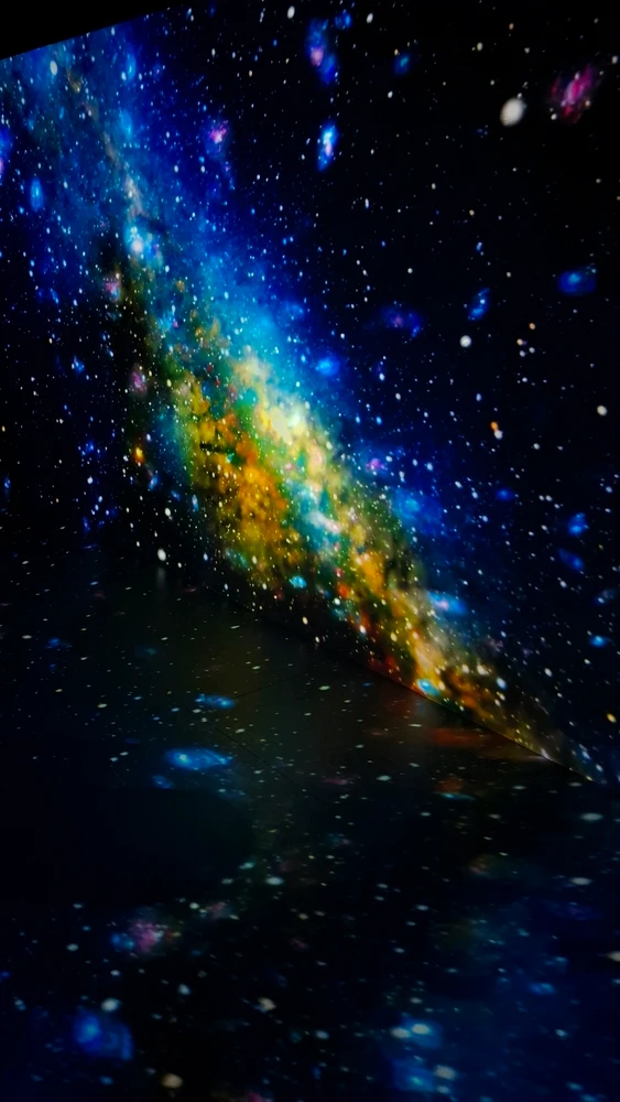 Imagem enviada por Maria Clara