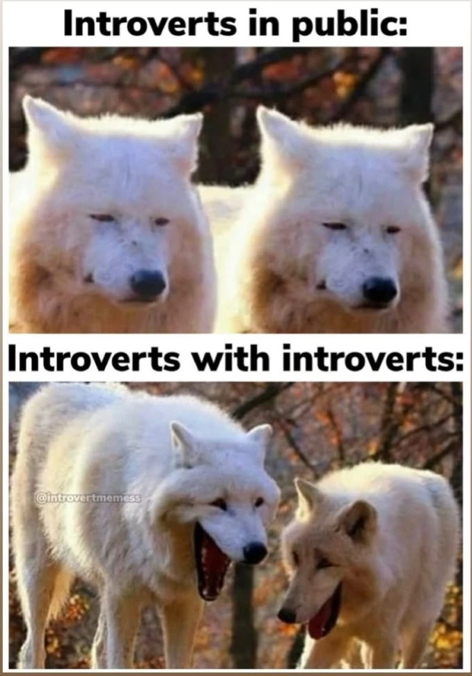 GIF uploaded by WVWVANA