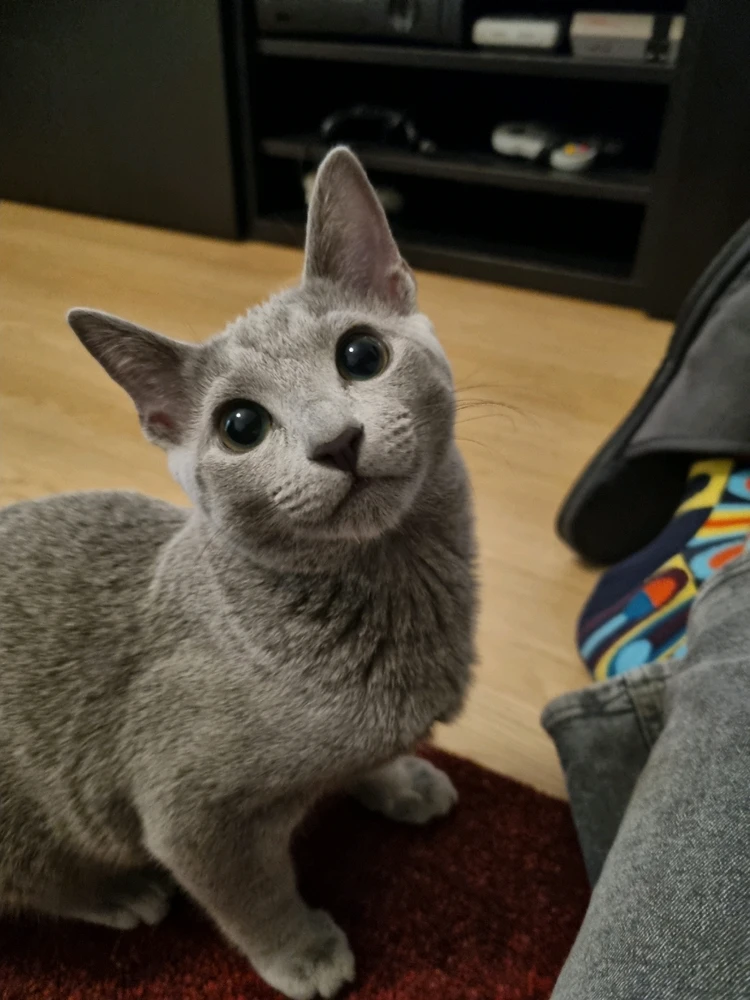 GIF uploaded by Michal