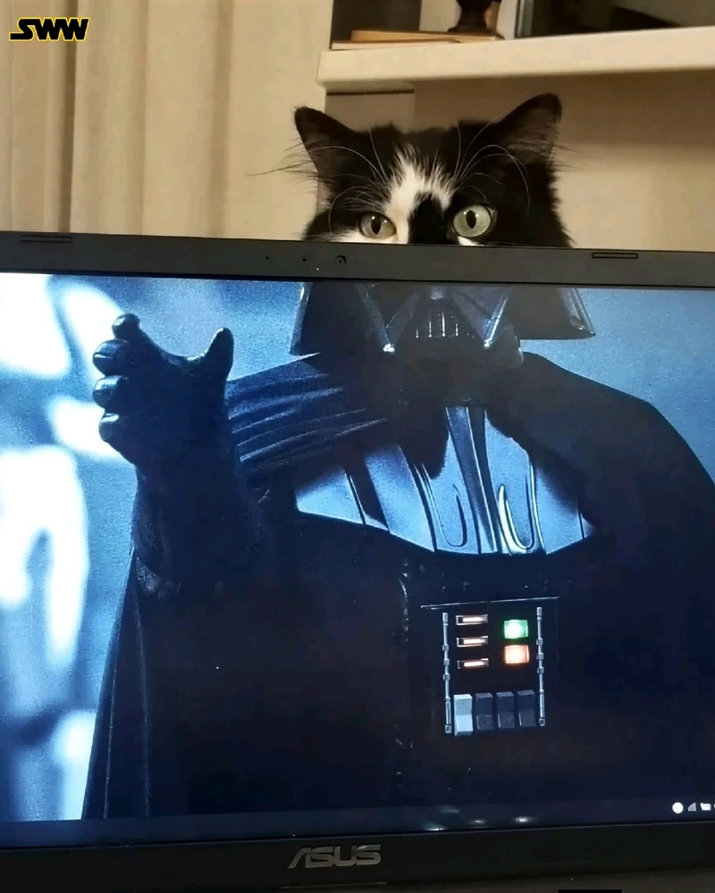 GIF dodany przez Kamil1987