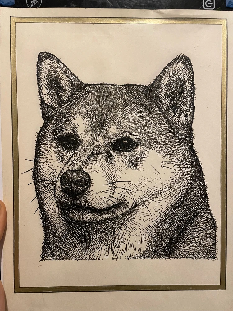 Image uploaded by Filip