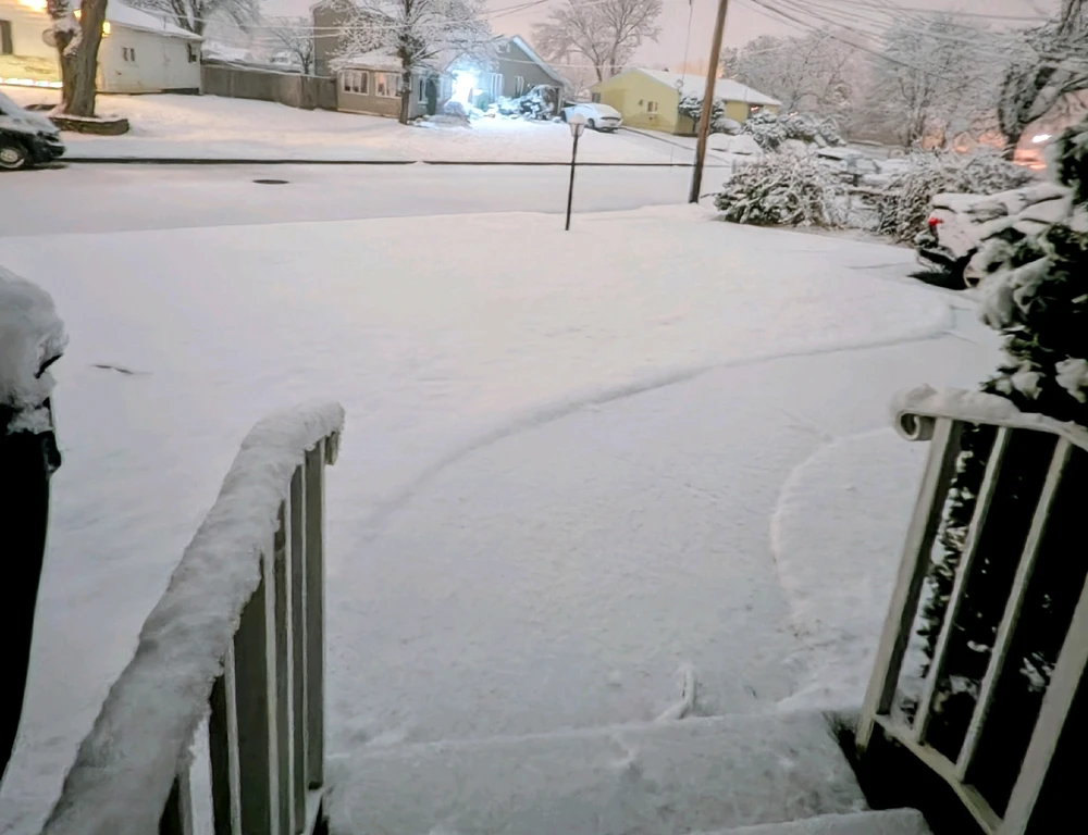 Image uploaded by Melissa