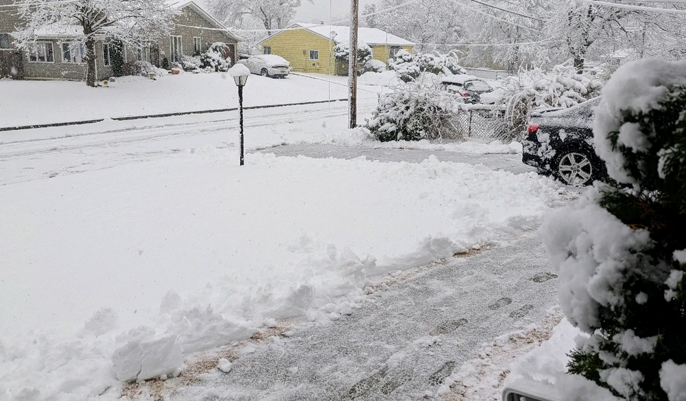 Image uploaded by Melissa