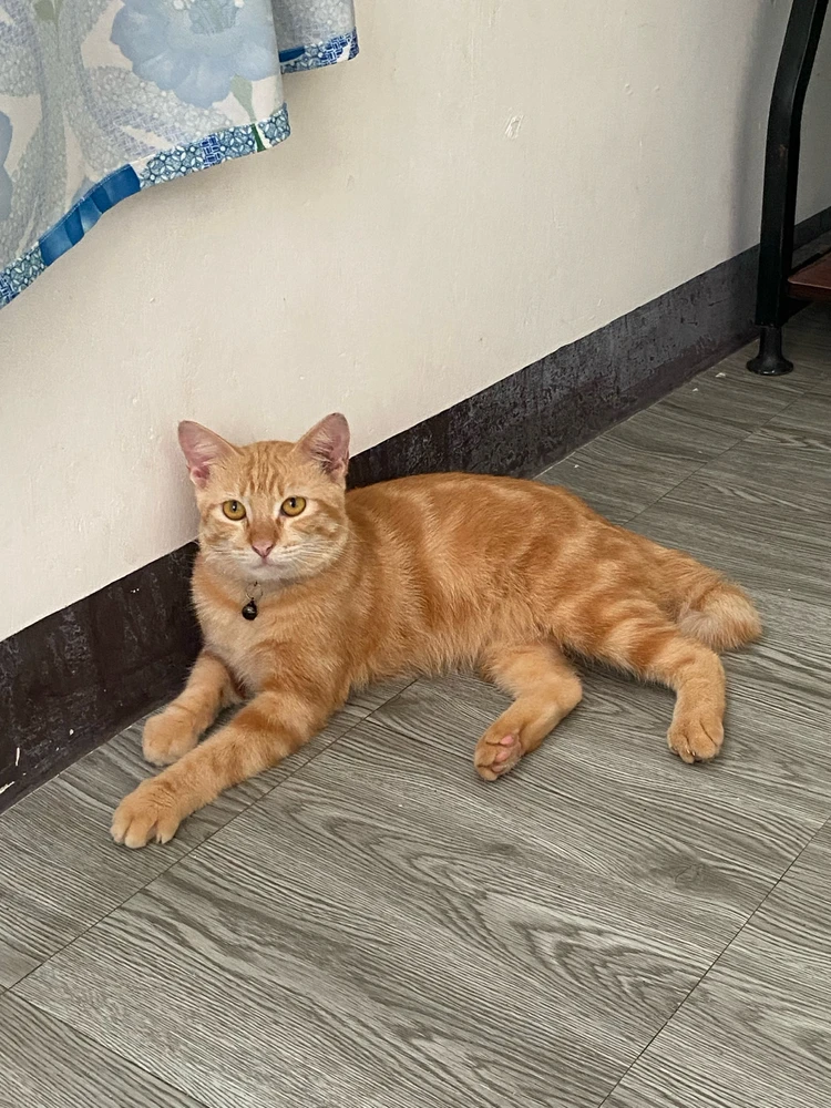 Image uploaded by shai