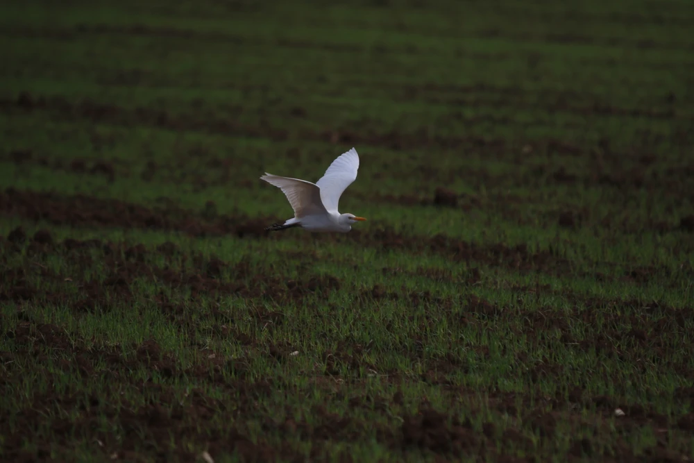 Image uploaded by Barak