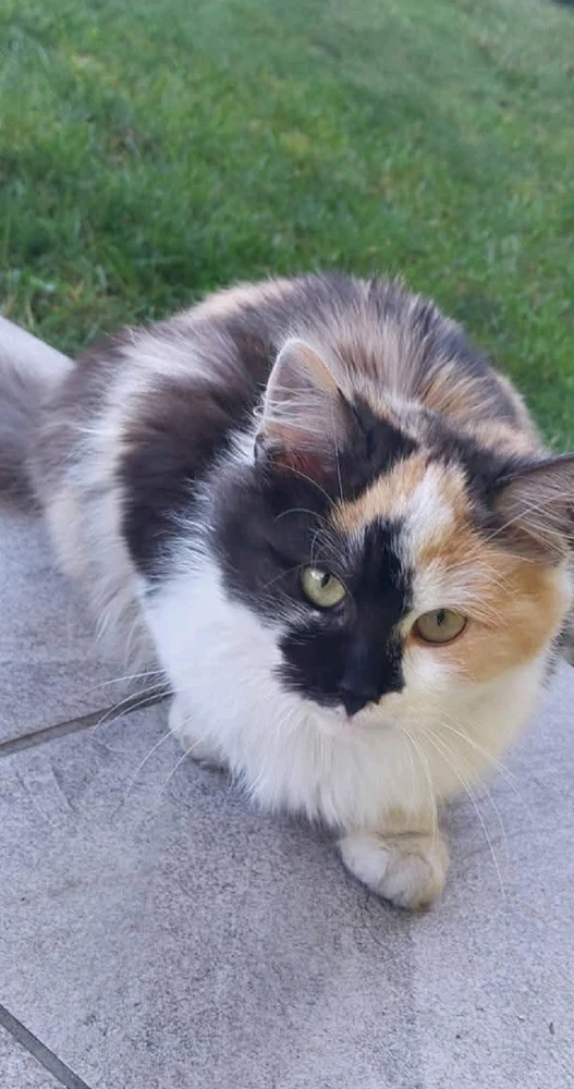 GIF uploaded by Igor