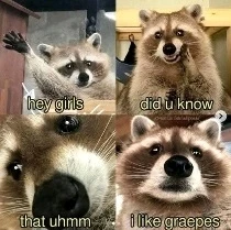 Image uploaded by Mikalob