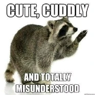 Image uploaded by Mikalob