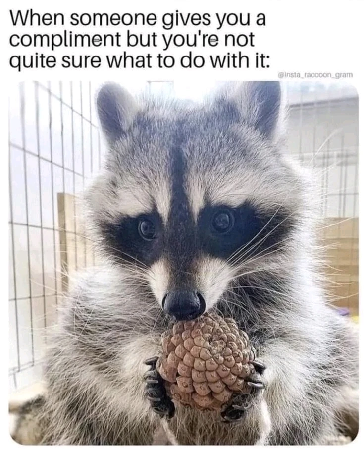 Image uploaded by Mikalob