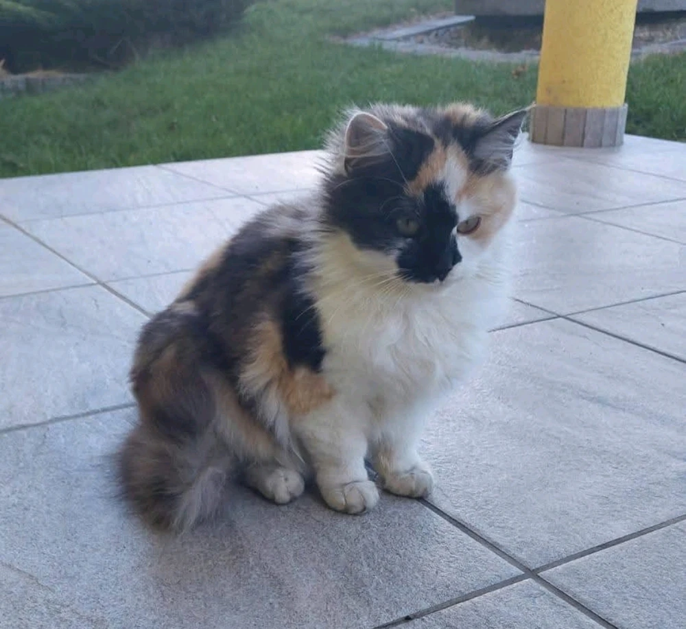 GIF uploaded by Igor