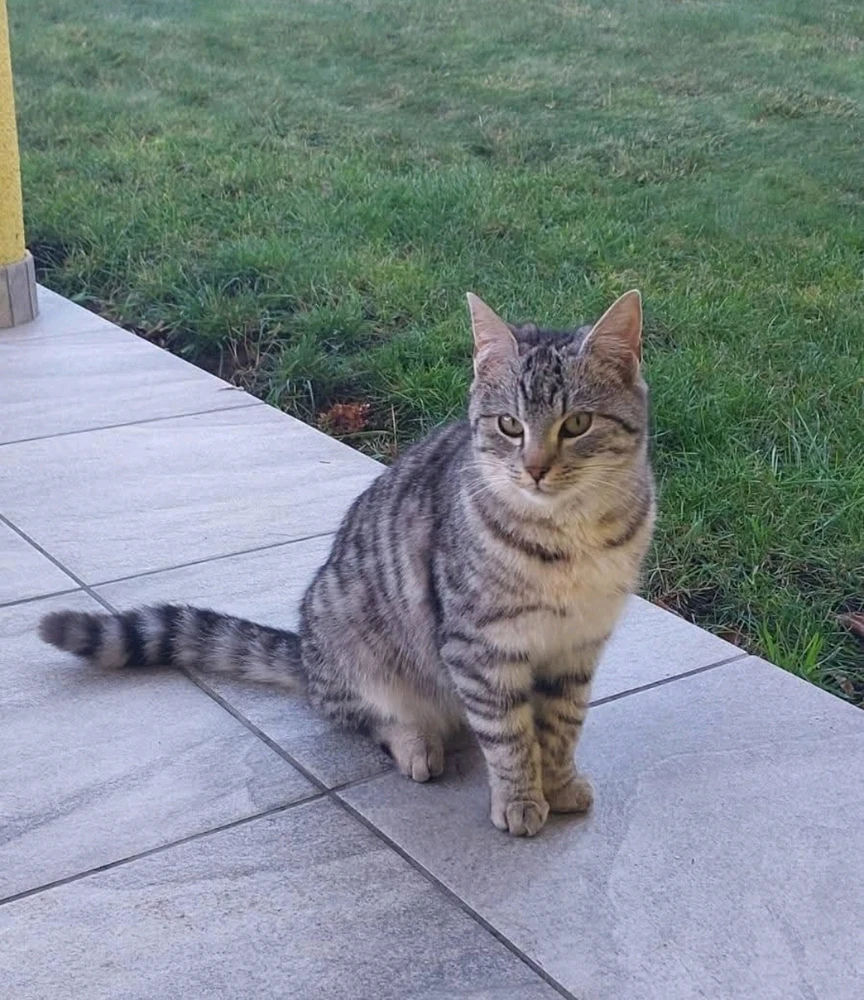 Igor님이 올린 GIF