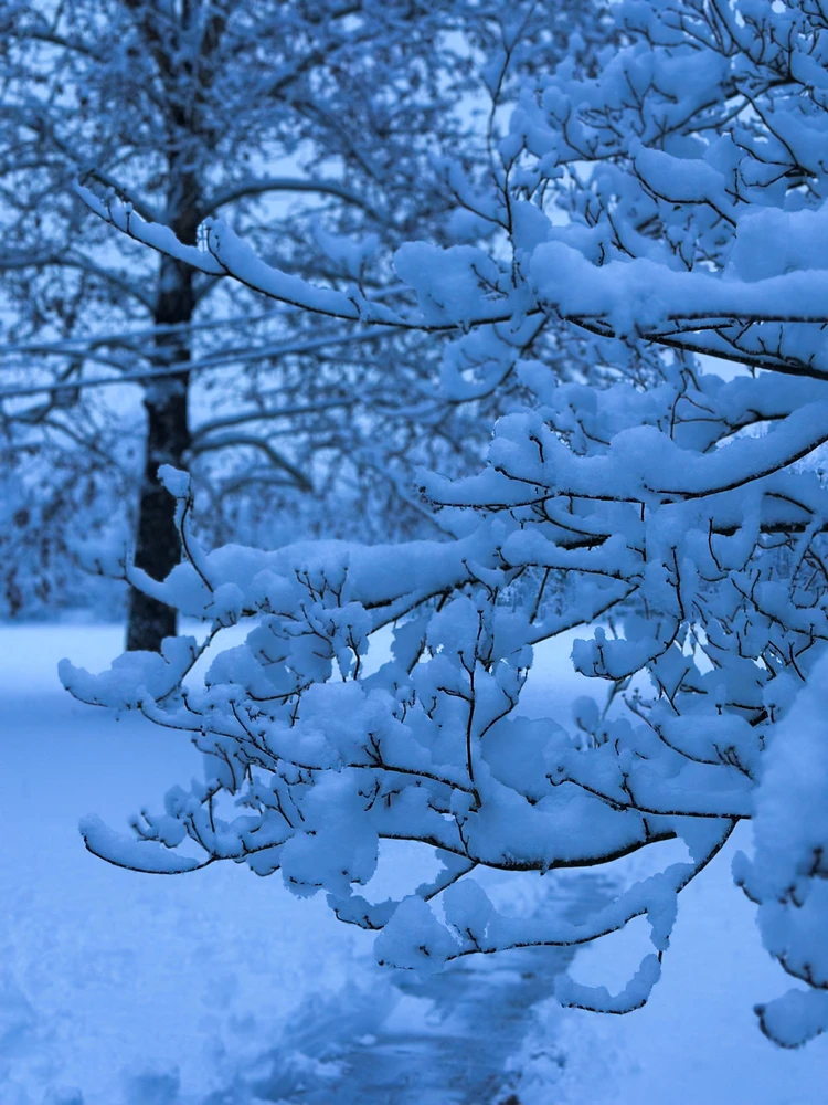 GIF uploaded by LJ ⭐️