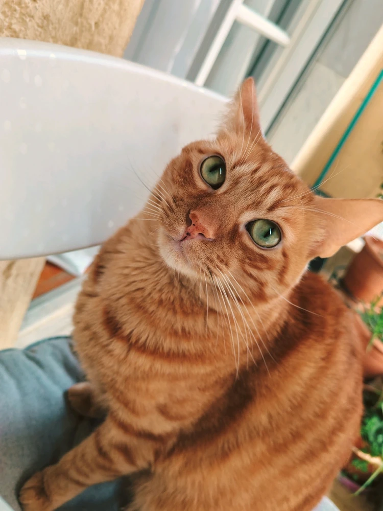 GIF ανέβηκε από Μάριος