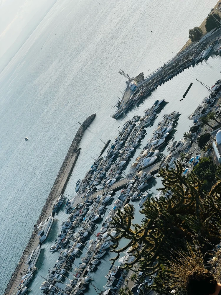 Image uploaded by SnOopY