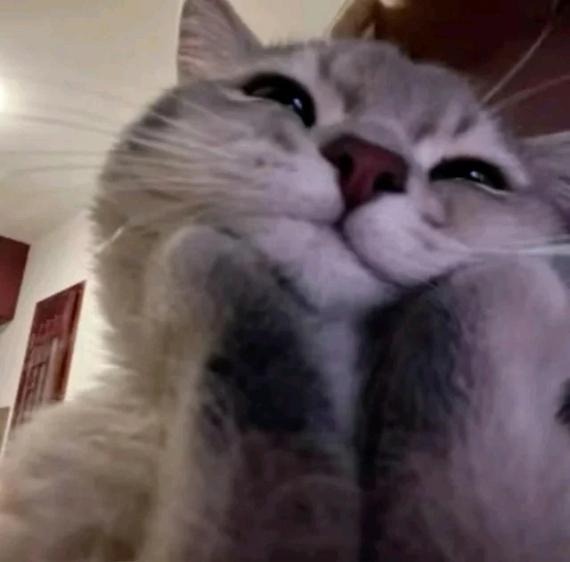 GIF uploaded by Gorgona