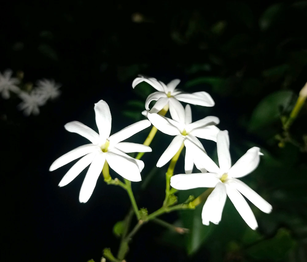 GIF uploaded by Bharath