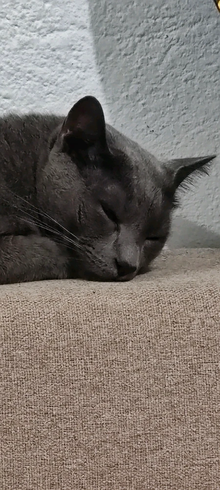 GIF enviado por Lucas