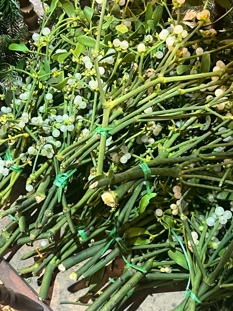 Bild hochgeladen von Erich