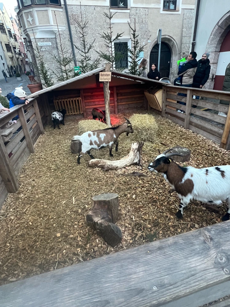 Bild hochgeladen von Erich