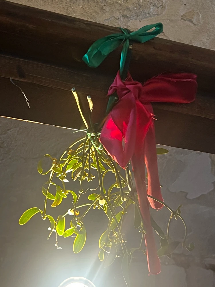 Bild hochgeladen von Erich