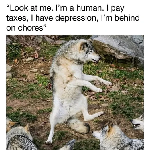 GIF uploaded by ElIrak