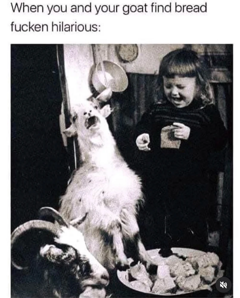 GIF uploaded by Allison