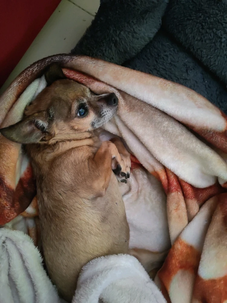 GIF subido por Yozemite