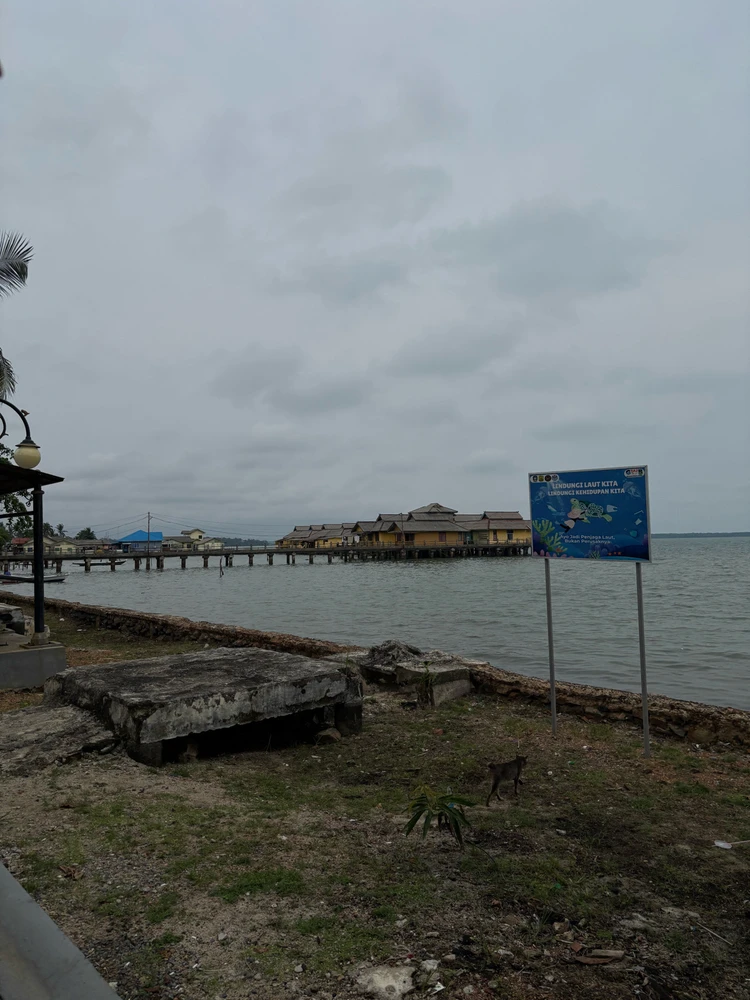 Image uploaded by Nadia