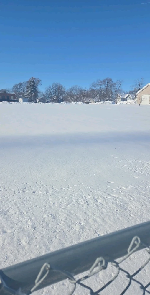 Image uploaded by Neko