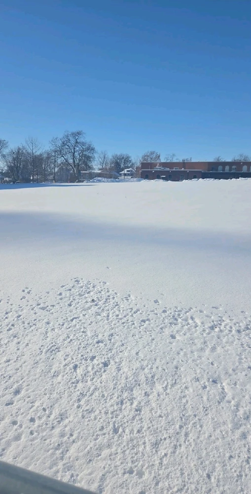 Image uploaded by Neko