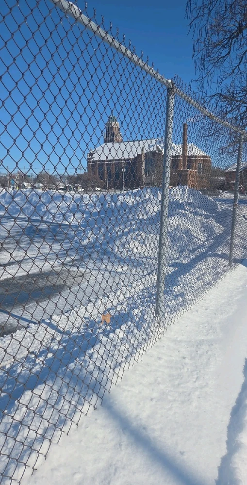 Image uploaded by Neko