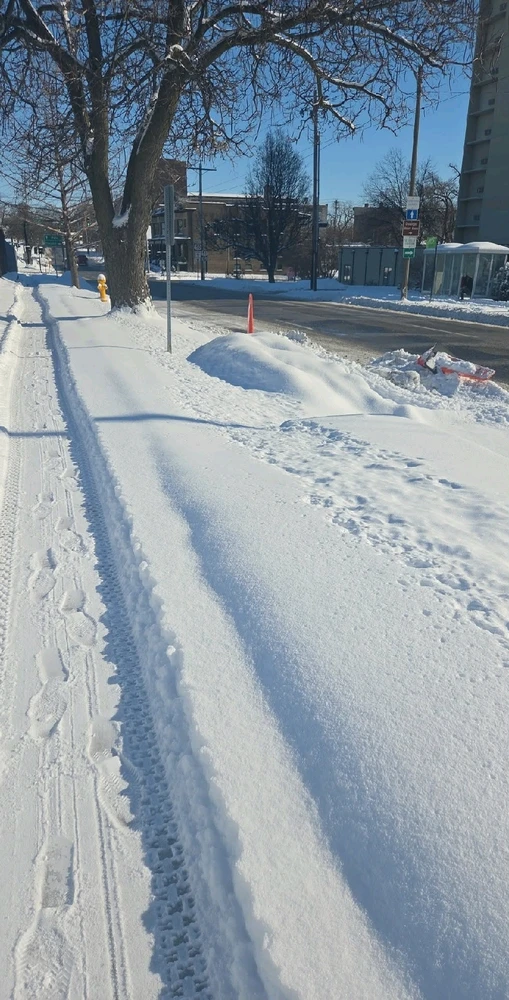 Image uploaded by Neko