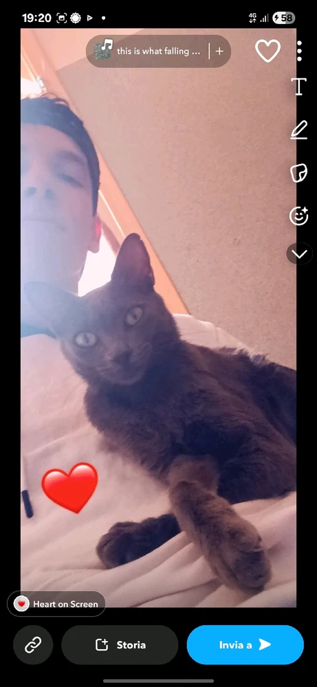 Image uploaded by Yassine