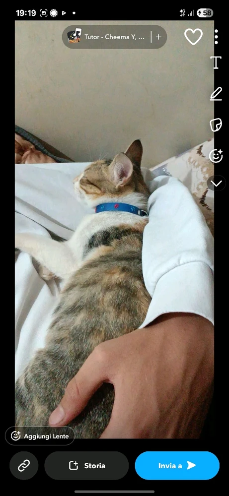 Image uploaded by Yassine