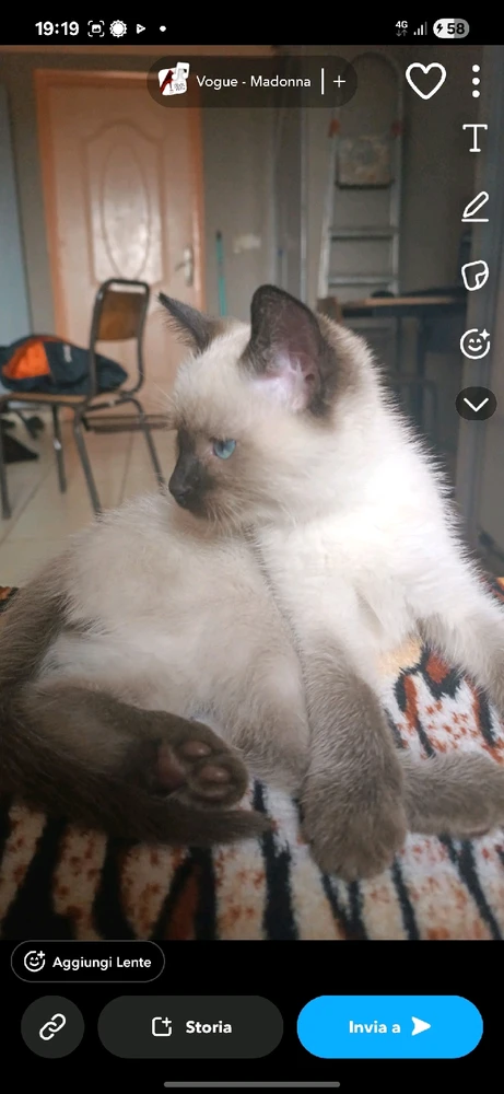 Image uploaded by Yassine