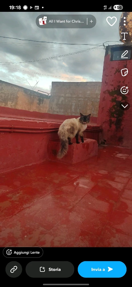 Image uploaded by Yassine