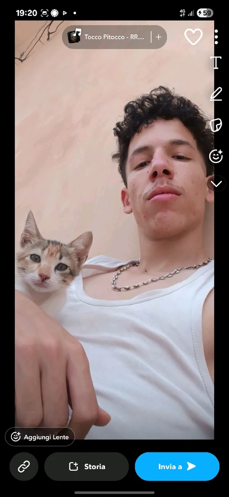 Image uploaded by Yassine