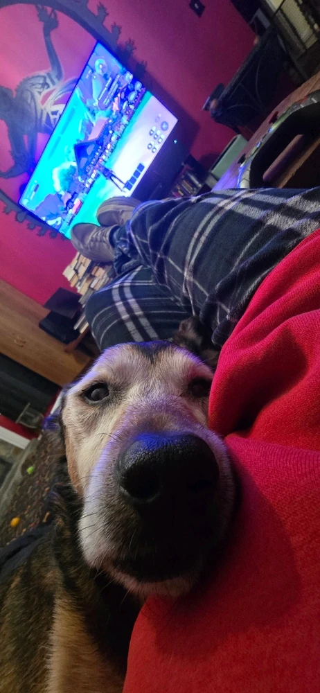 GIF diunggah dening Jamie