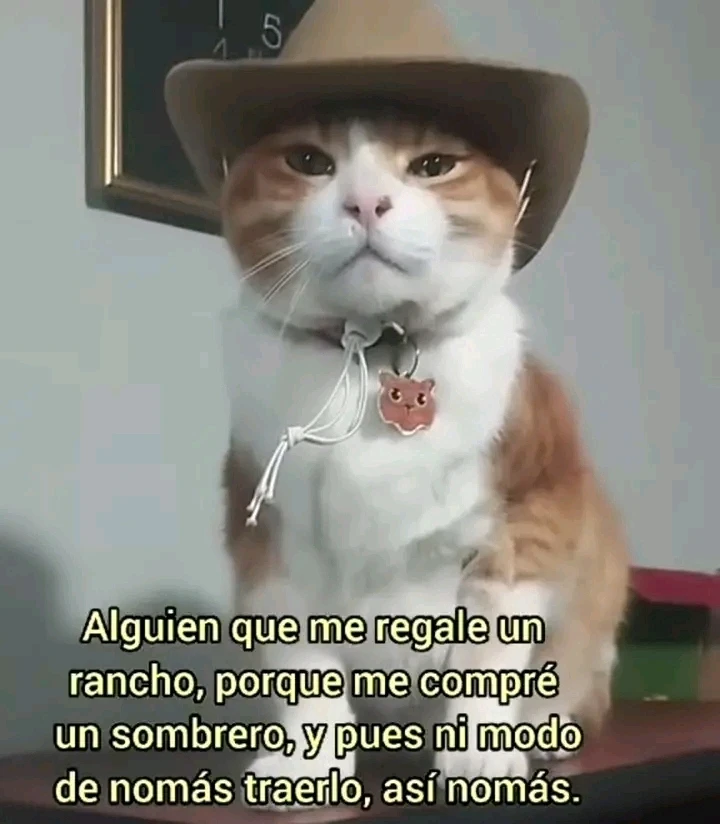 GIF subido por Venus7