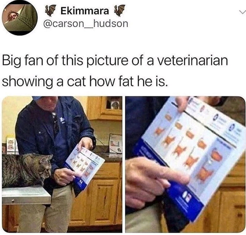 GIF uploaded by Brian!?