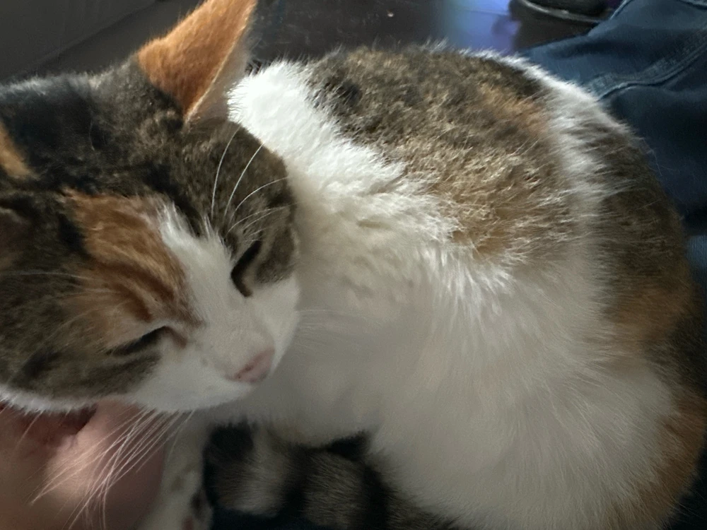 GIF uploaded by Brian