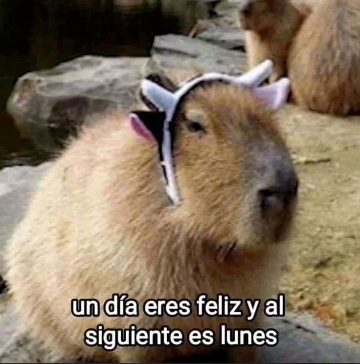 GIF subido por ꓄ђ