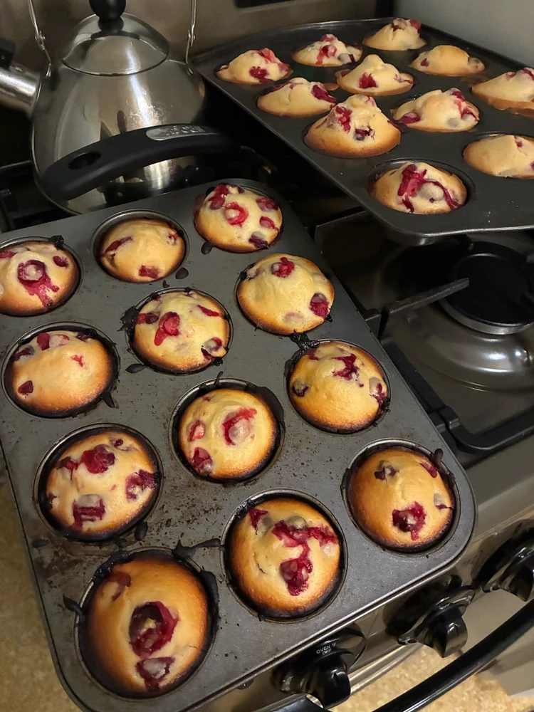 Image uploaded by Nathan